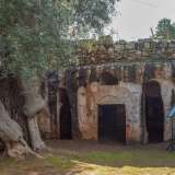  L�ingresso � composto da un prospetto con tre diversi ingressi: i due laterali arcuati e quello principale squadrato e sovrastato da una finestrella superiore